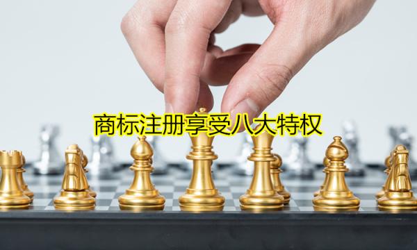 商标注册享受八大特权