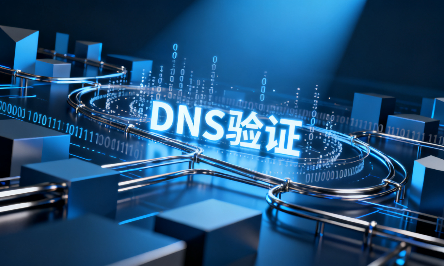 DNS验证